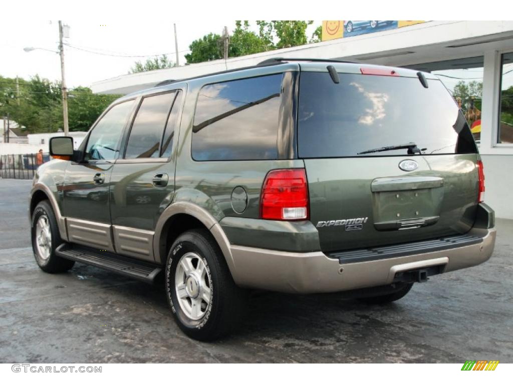 2003 Expedition Eddie Bauer - Estate Green Metallic / Medium Parchment photo #12