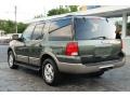 2003 Estate Green Metallic Ford Expedition Eddie Bauer  photo #12