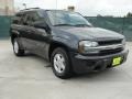 Dark Gray Metallic - TrailBlazer LS Photo No. 1