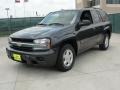 Dark Gray Metallic - TrailBlazer LS Photo No. 7