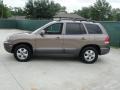 2005 Mocha Frost Beige Hyundai Santa Fe GLS  photo #6