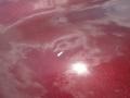 Dark Cherry Red - Sonata GLS Photo No. 11