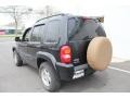 2003 Black Clearcoat Jeep Liberty Limited 4x4  photo #4