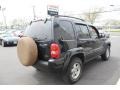 2003 Black Clearcoat Jeep Liberty Limited 4x4  photo #6