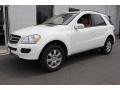 Alabaster White - ML 350 4Matic Photo No. 1