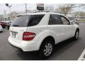 Alabaster White - ML 350 4Matic Photo No. 6