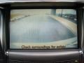 Mercury Silver Metallic - LS 460 Photo No. 17