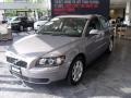 Flint Gray Metallic - S40 2.4i Photo No. 7