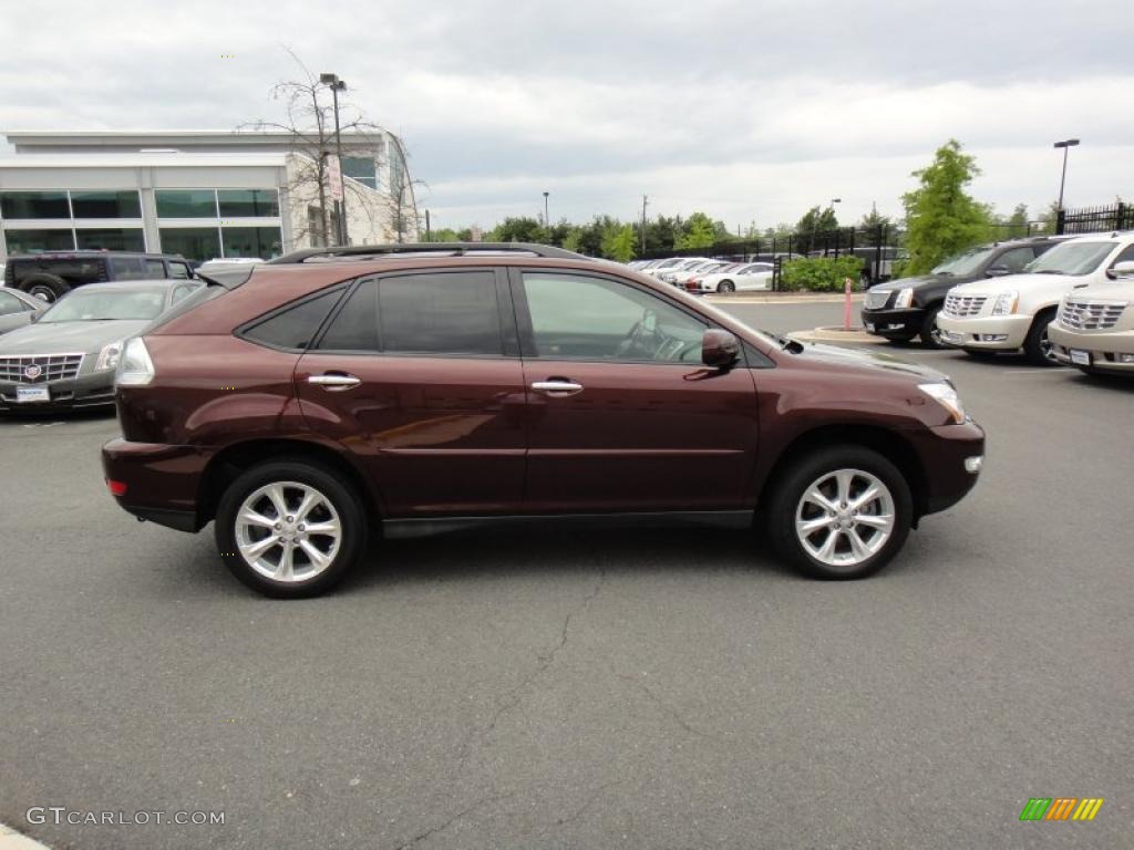 Brandywine Mica 2009 Lexus RX 350 AWD Exterior Photo #48832003
