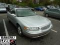Sterling Silver Metallic - Regal LS Photo No. 1