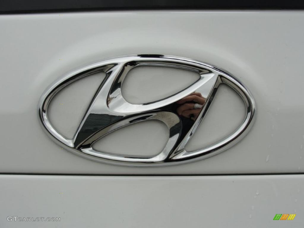 2010 Hyundai Santa Fe Limited Marks and Logos Photo #48833466