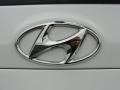 2010 Hyundai Santa Fe Limited Badge and Logo Photo
