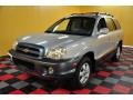 2006 Pewter Hyundai Santa Fe GLS 4WD  photo #2