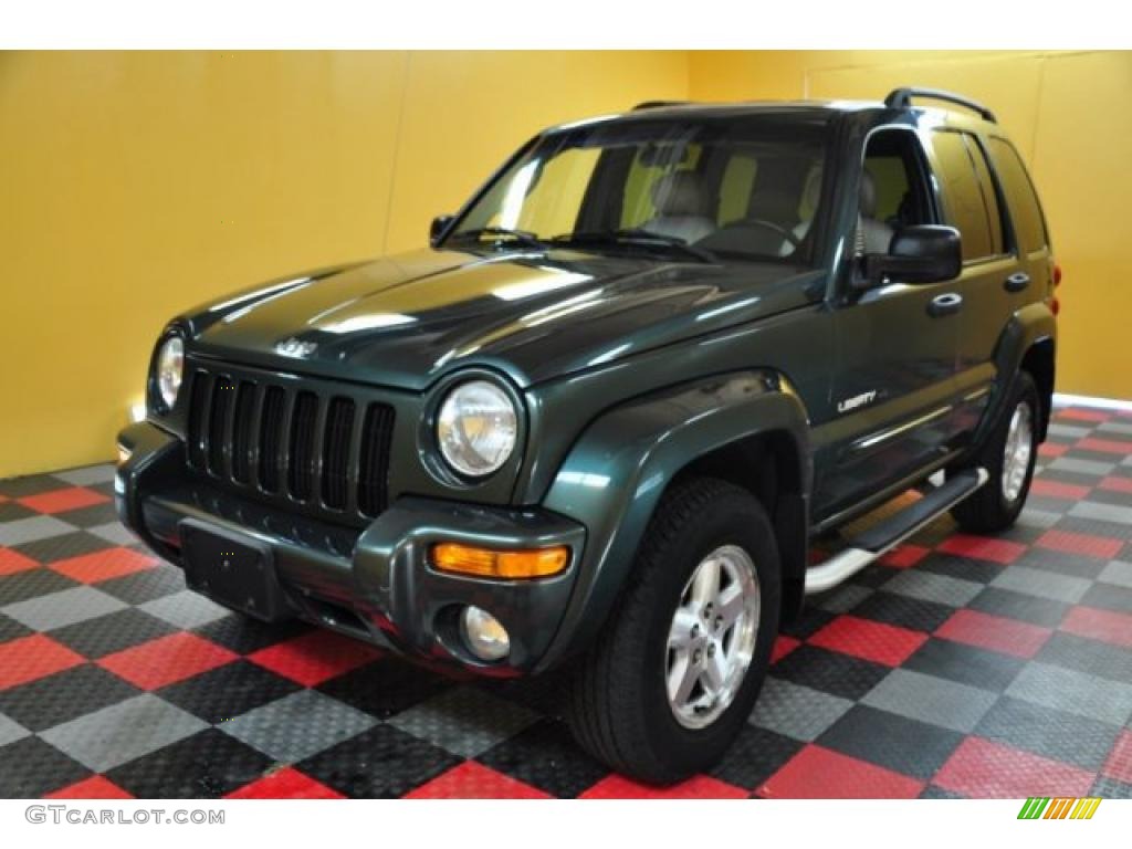 2002 Liberty Limited 4x4 - Shale Green Metallic / Dark Slate Gray photo #2