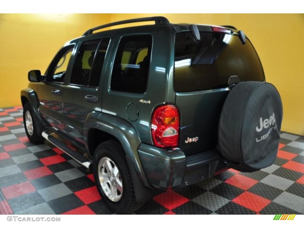2002 Liberty Limited 4x4 - Shale Green Metallic / Dark Slate Gray photo #3