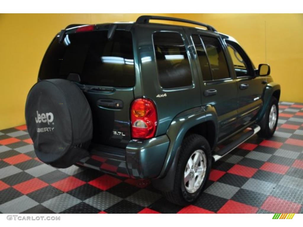 2002 Liberty Limited 4x4 - Shale Green Metallic / Dark Slate Gray photo #4