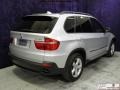 Titanium Silver Metallic - X5 3.0si Photo No. 22