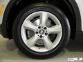 Titanium Silver Metallic - X5 3.0si Photo No. 23