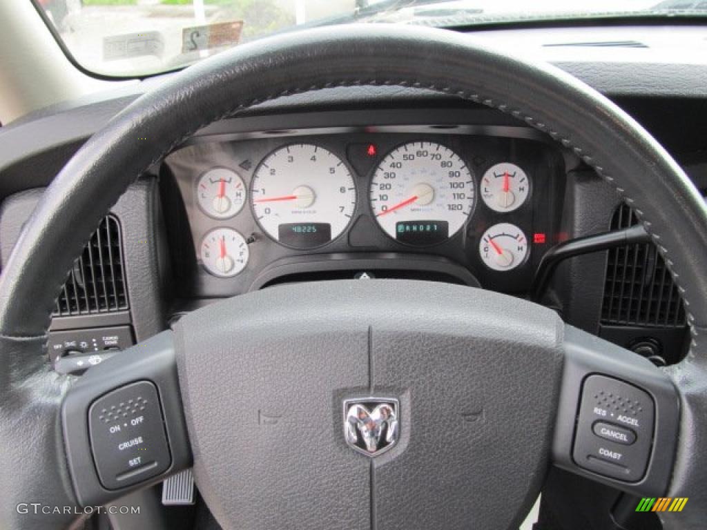 2004 Ram 1500 SLT Regular Cab 4x4 - Graphite Metallic / Dark Slate Gray photo #19