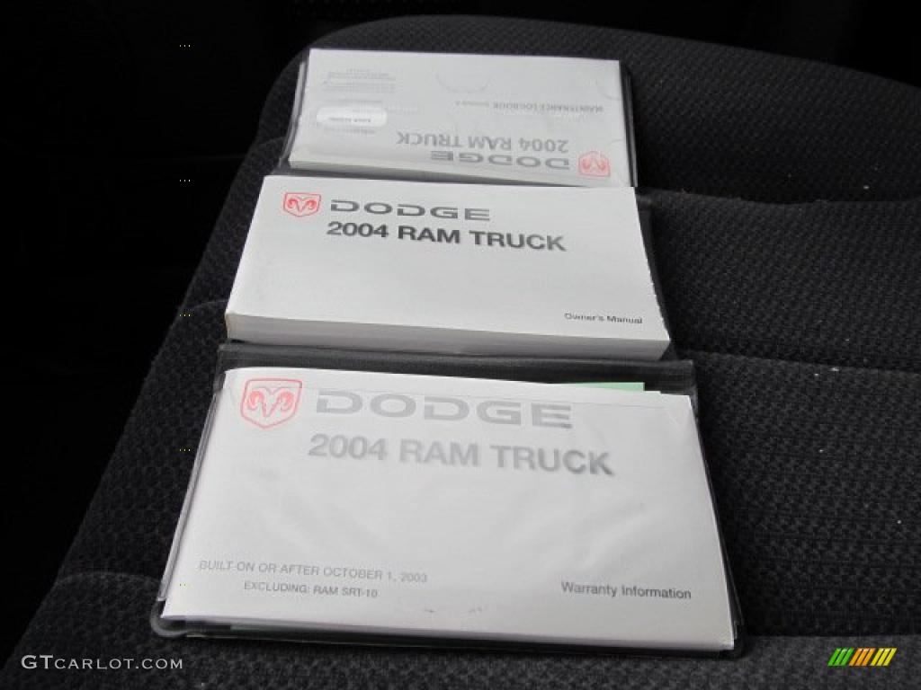 2004 Ram 1500 SLT Regular Cab 4x4 - Graphite Metallic / Dark Slate Gray photo #23