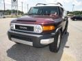 Black Cherry Pearl - FJ Cruiser  Photo No. 9