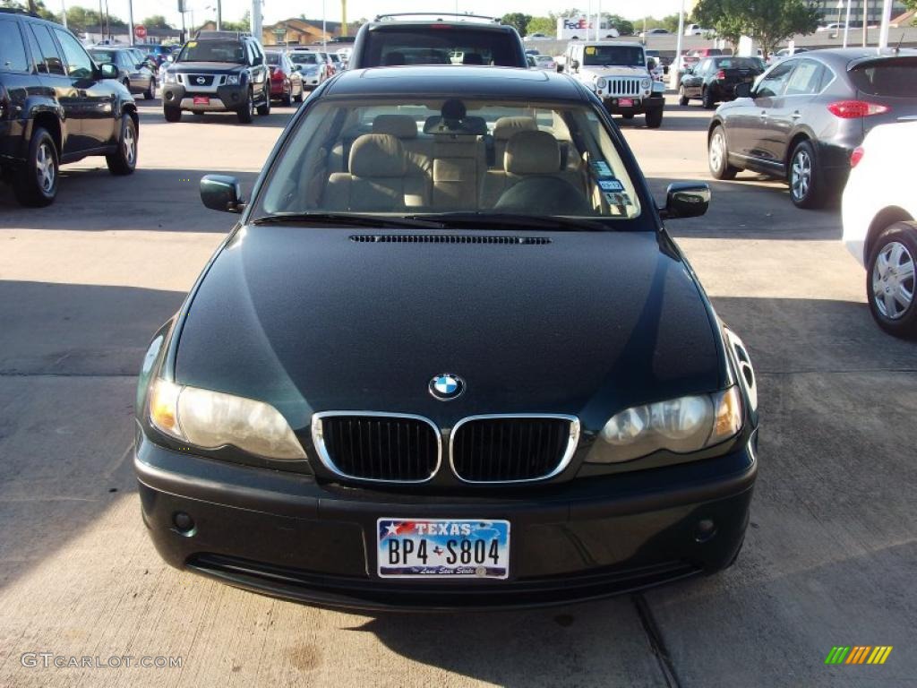 2003 3 Series 325i Sedan - Oxford Green Metallic / Natural Brown photo #2