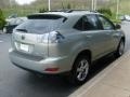 2008 Bamboo Pearl Lexus RX 400h AWD Hybrid  photo #5