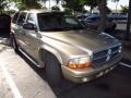 Light Almond Pearl Metallic 2002 Dodge Durango SLT Plus