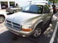 Light Almond Pearl Metallic - Durango SLT Plus Photo No. 4