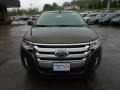 Earth Metallic - Edge Limited AWD Photo No. 11