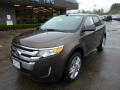 Earth Metallic - Edge Limited AWD Photo No. 12