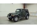 2005 Moss Green Pearlcoat Jeep Wrangler X 4x4  photo #1