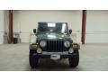 2005 Moss Green Pearlcoat Jeep Wrangler X 4x4  photo #2