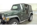 2005 Moss Green Pearlcoat Jeep Wrangler X 4x4  photo #9