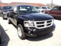 Brilliant Black Crystal Pearl - Dakota Big Horn Extended Cab Photo No. 3