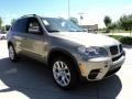 2012 Platinum Bronze Metallic BMW X5 xDrive35i Premium  photo #2