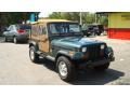 1994 Hunter Green Metallic Jeep Wrangler Sahara 4x4 #48814742