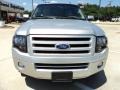 Ingot Silver Metallic 2010 Ford Expedition Limited Exterior