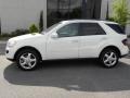 Arctic White - ML 350 4Matic Photo No. 2