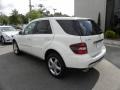 Arctic White - ML 350 4Matic Photo No. 18