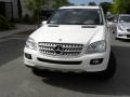 Arctic White - ML 350 4Matic Photo No. 22