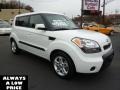 2010 Clear White Kia Soul +  photo #1