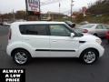 2010 Clear White Kia Soul +  photo #8