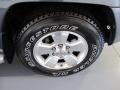 Galactic Gray Mica - 4Runner Limited Photo No. 7