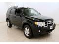 2009 Black Ford Escape XLT  photo #1