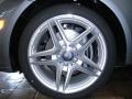 Palladium Silver Metallic - E 350 Coupe Photo No. 10