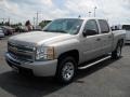 2009 Silver Birch Metallic Chevrolet Silverado 1500 LS Crew Cab  photo #1