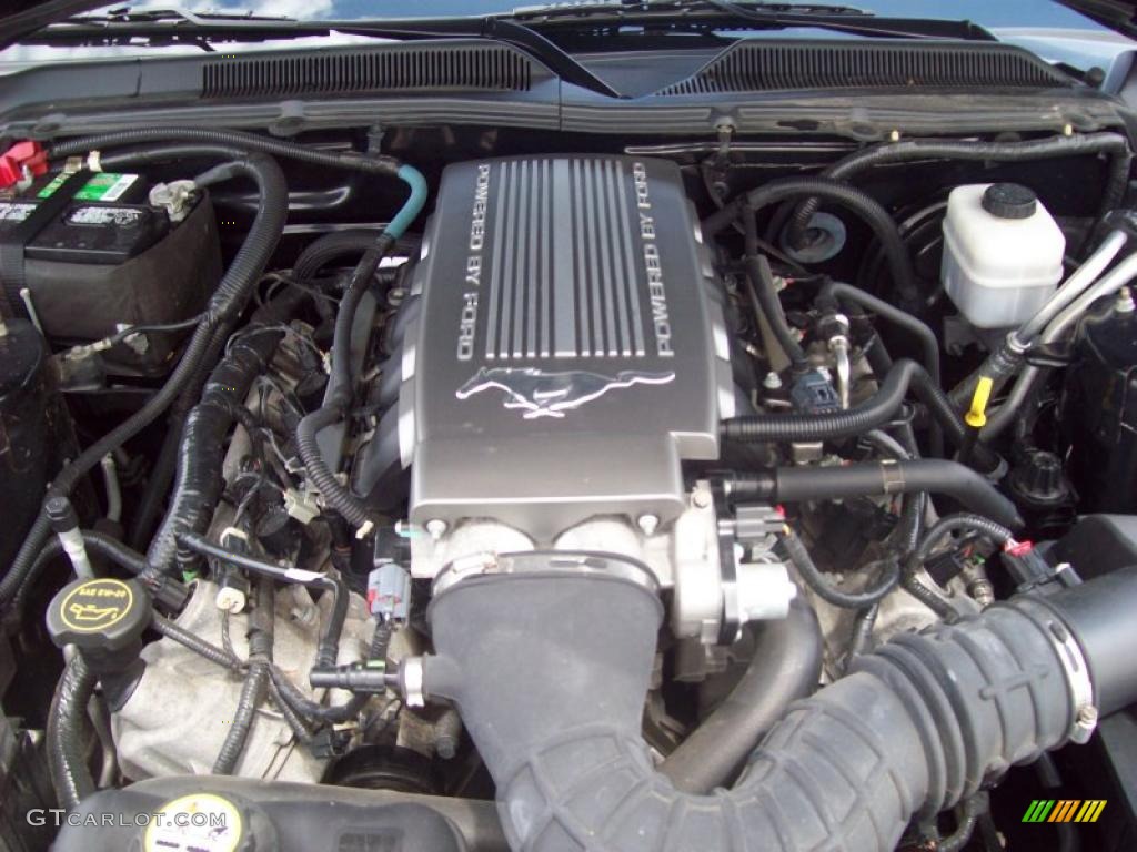 2008 Ford Mustang GT Premium Coupe 4.6 Liter SOHC 24-Valve VVT V8 Engine Photo #48889620