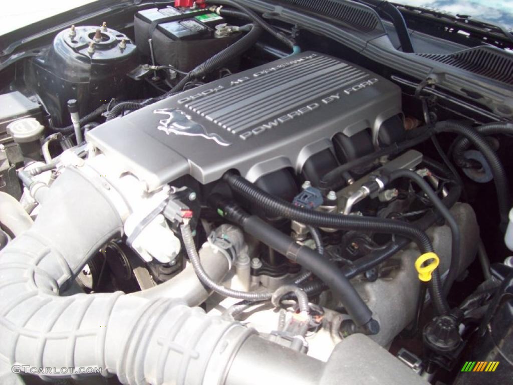 2008 Ford Mustang GT Premium Coupe 4.6 Liter SOHC 24-Valve VVT V8 Engine Photo #48889635
