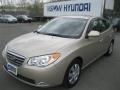 Laguna Sand Metallic - Elantra GLS Sedan Photo No. 1